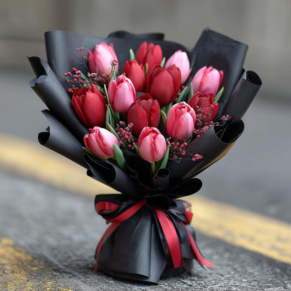 Red and Pink Tulips Glowing with Passion and Gentle Grace